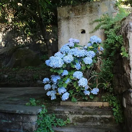 Apartment La Casa Con Il Bosco *